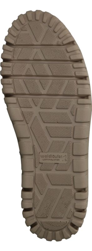 Durlinger Waldlaufer Livia