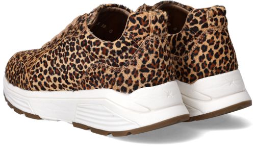 Durlinger Xsensible Chain Stretchwalker