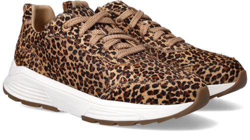 Durlinger Xsensible Chain Stretchwalker