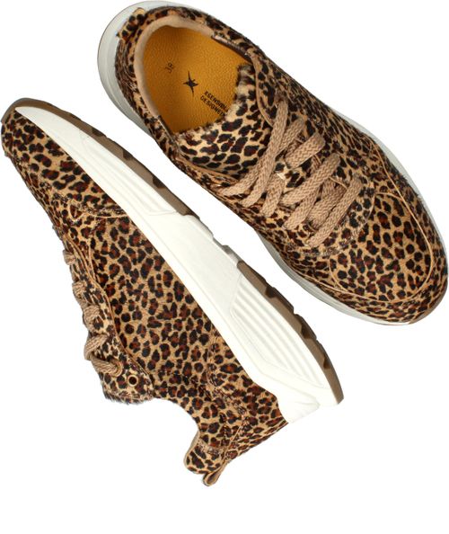 Durlinger Xsensible Chain Stretchwalker