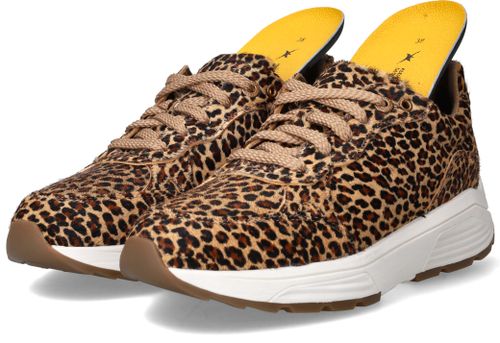 Durlinger Xsensible Chain Stretchwalker