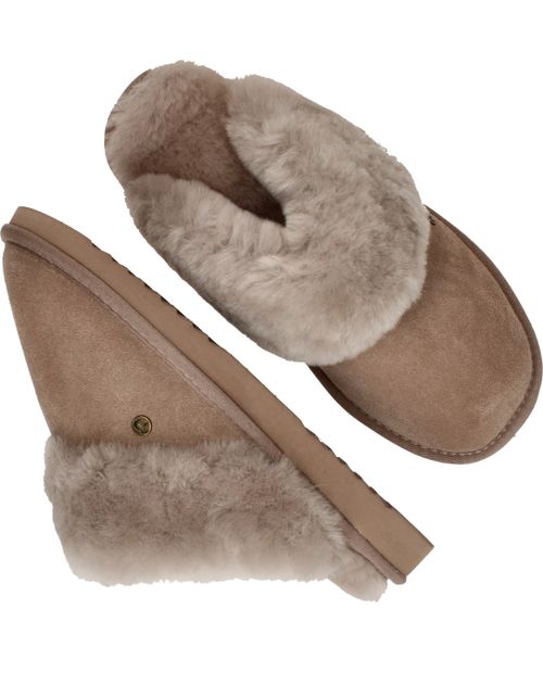 Durlinger Warmbat Flurry