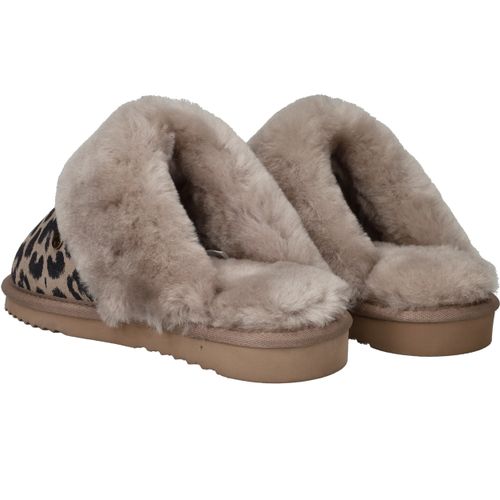 Durlinger Warmbat Collie