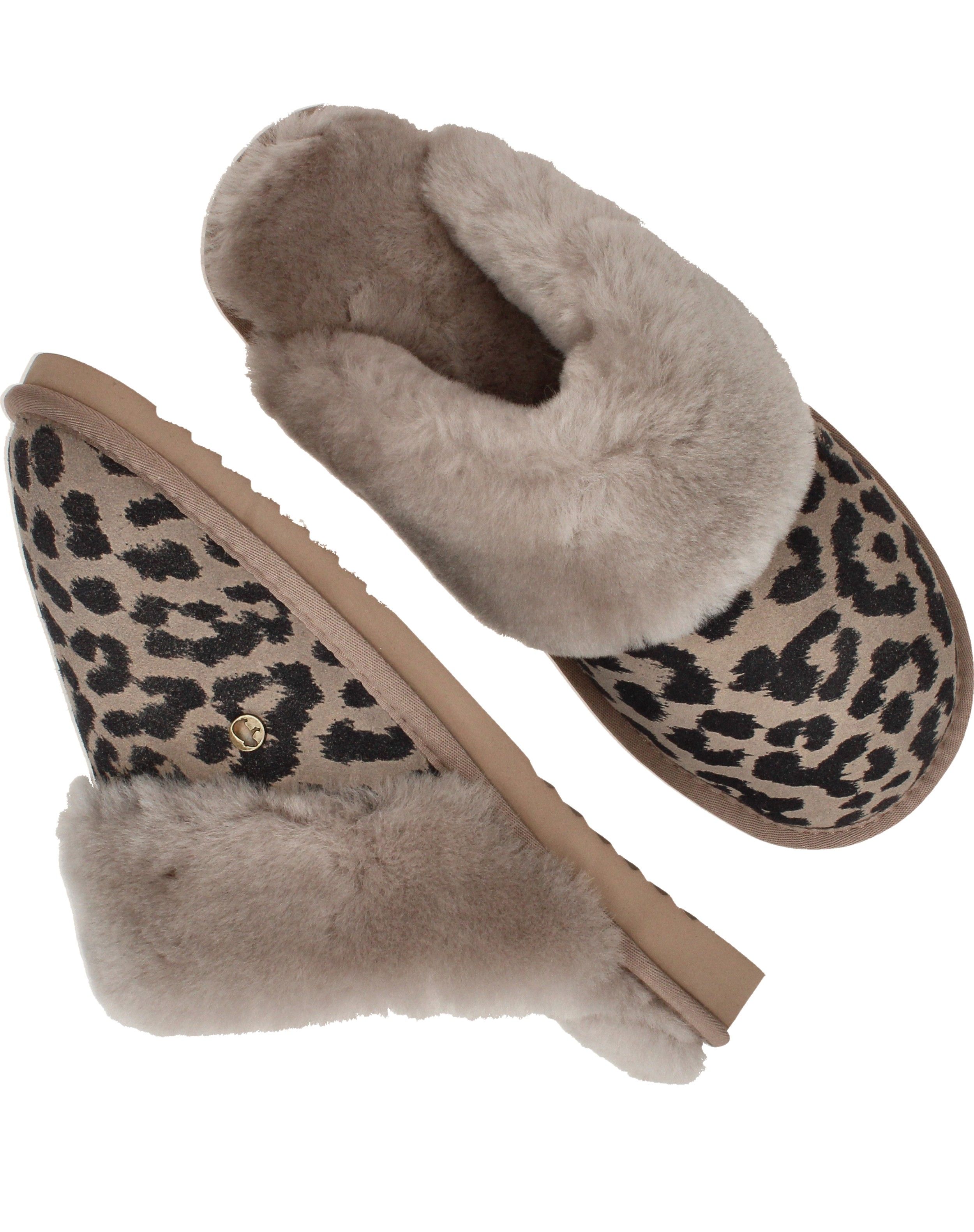 Durlinger Warmbat Collie