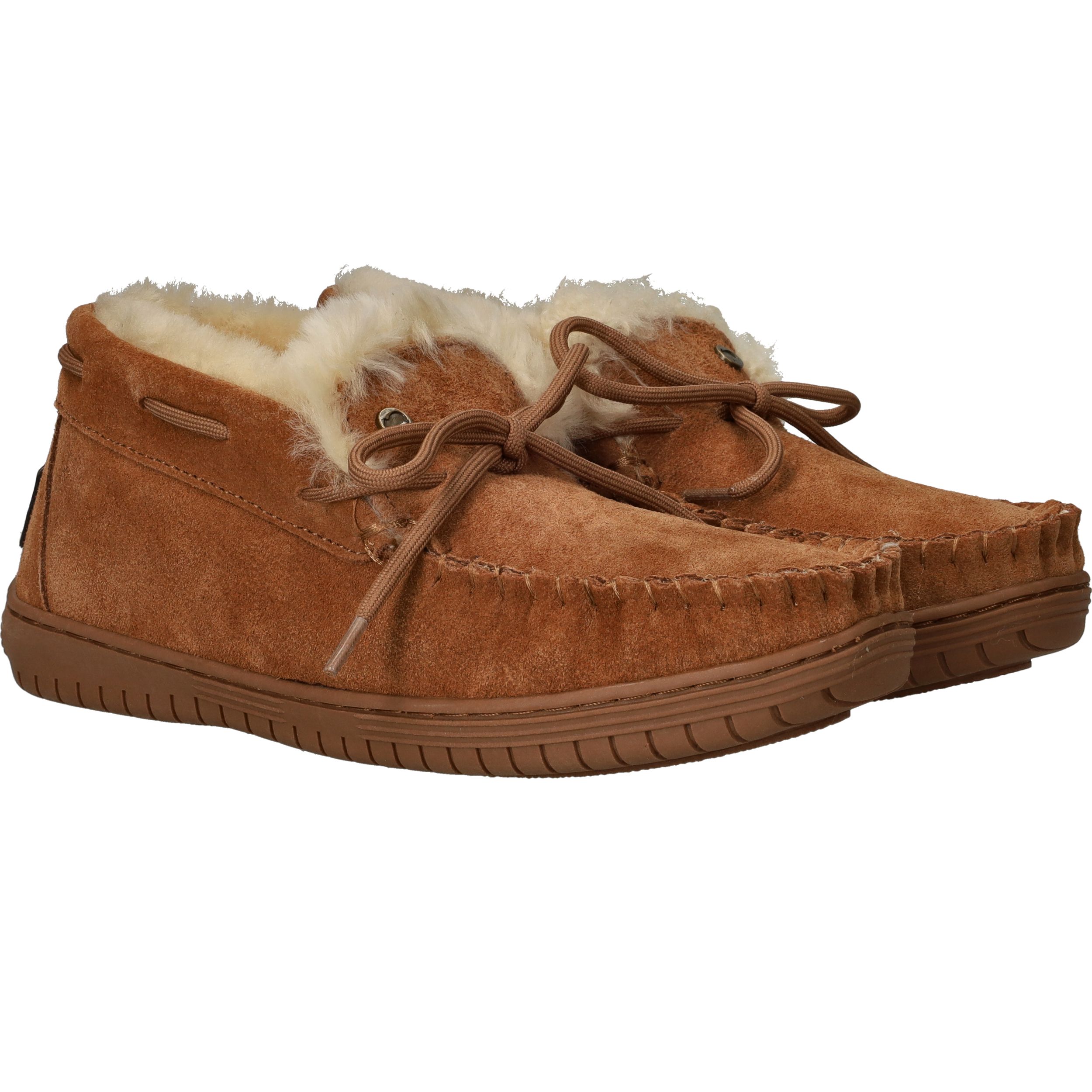 Durlinger Warmbat Bunya