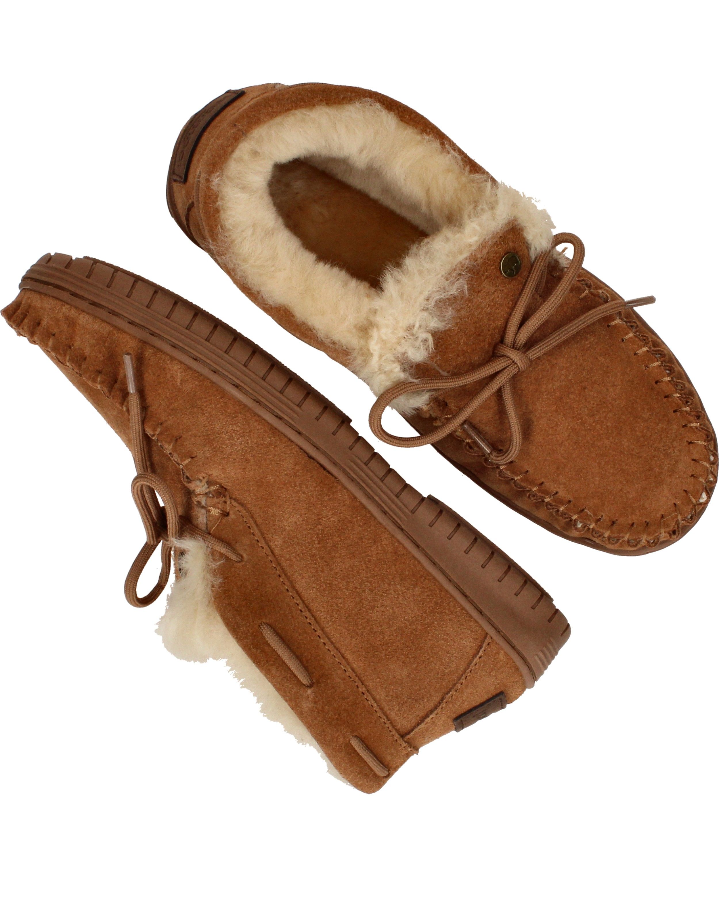 Durlinger Warmbat Bunya