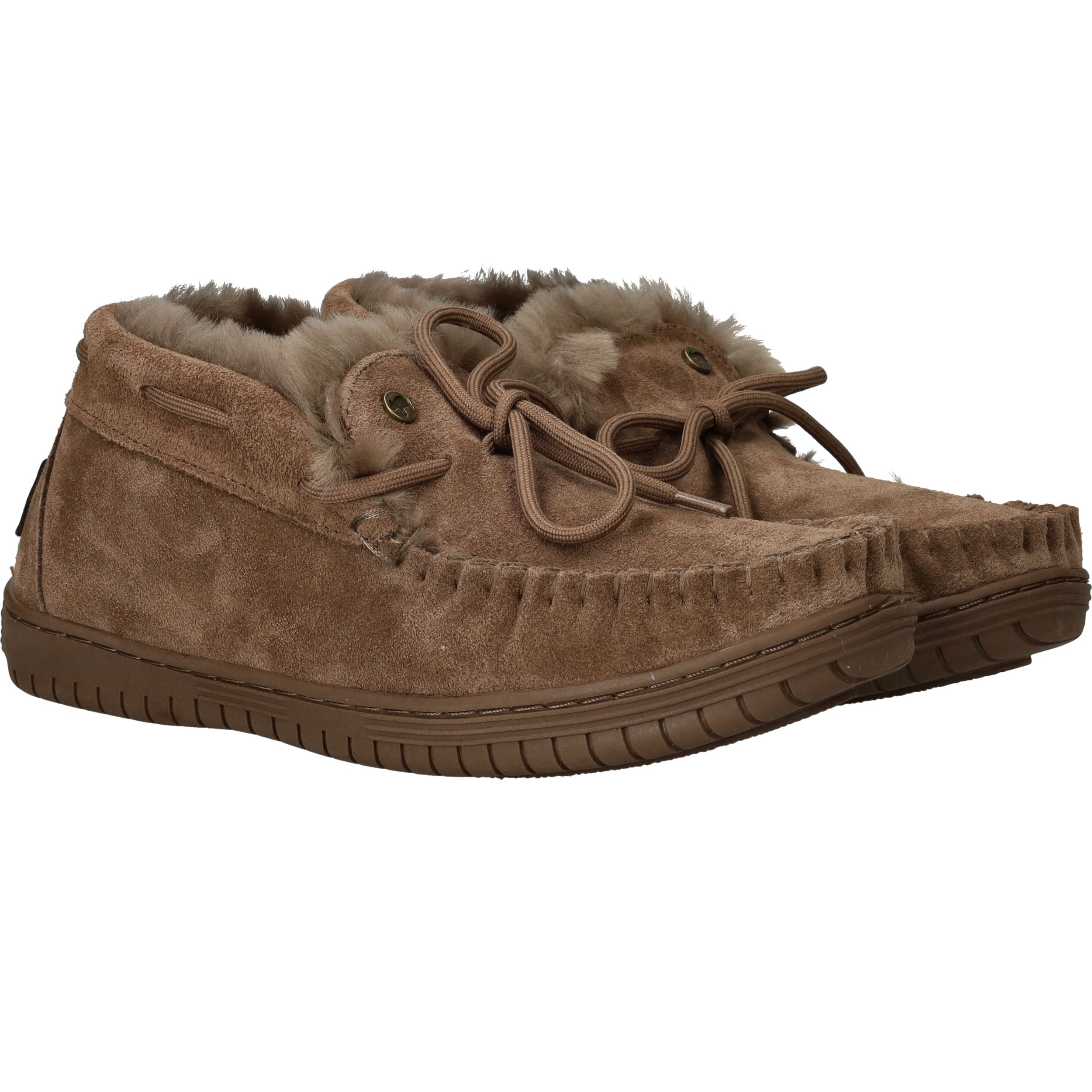 Durlinger Warmbat Bunya