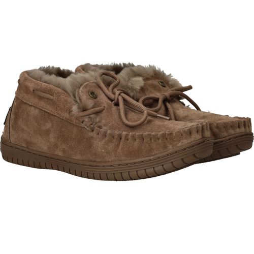 Durlinger Warmbat Bunya