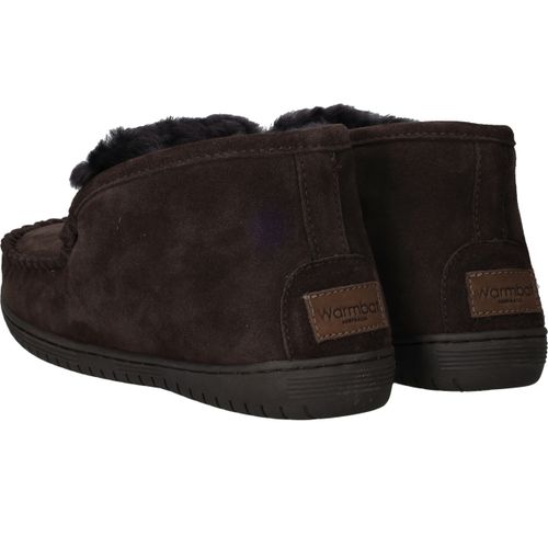 Durlinger Warmbat Darwino