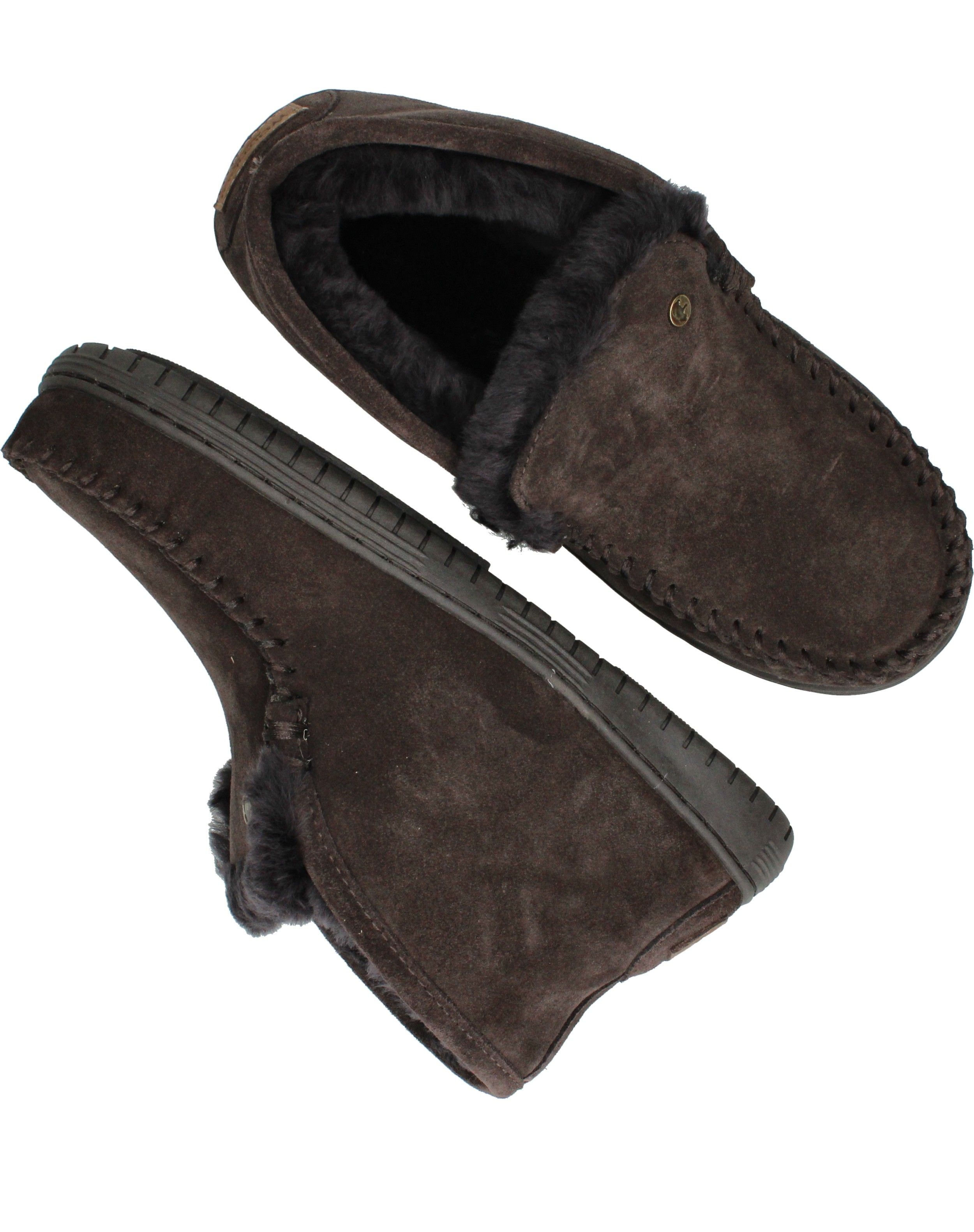 Durlinger Warmbat Darwino