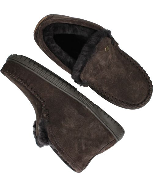 Durlinger Warmbat Darwino