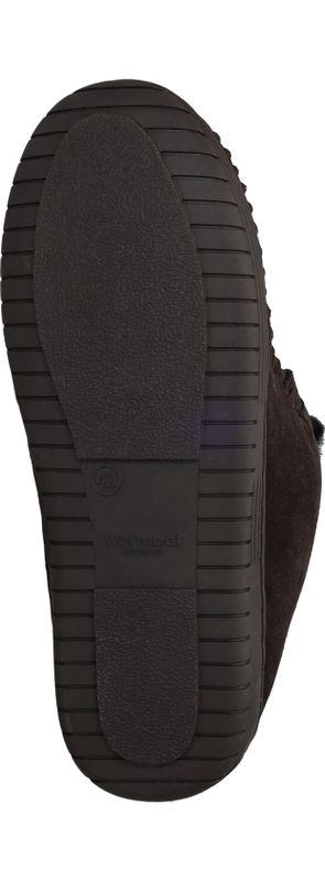 Durlinger Warmbat Darwino