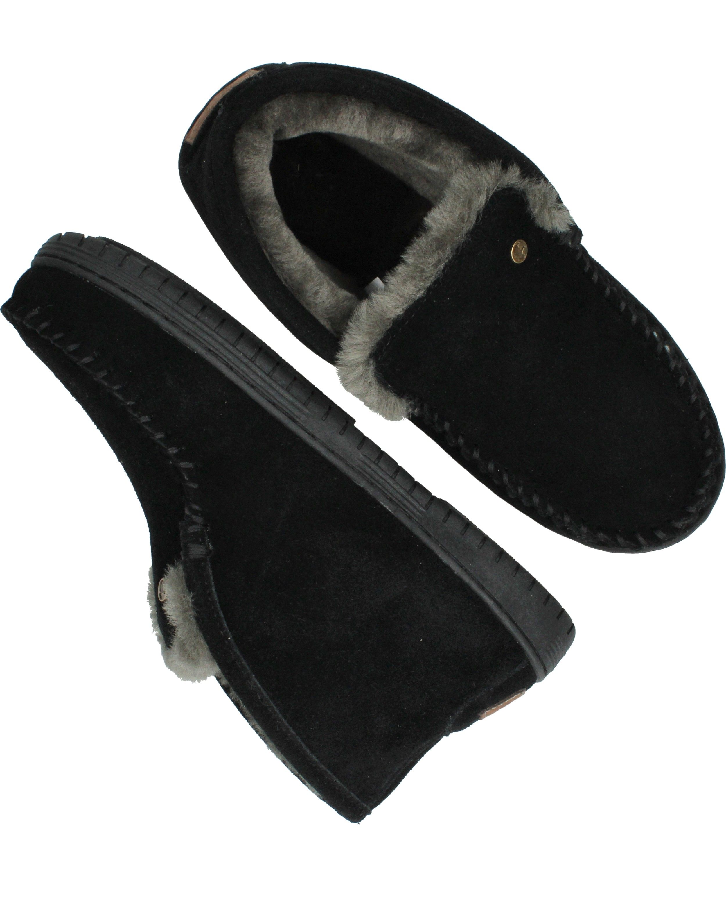 Durlinger Warmbat Darwino