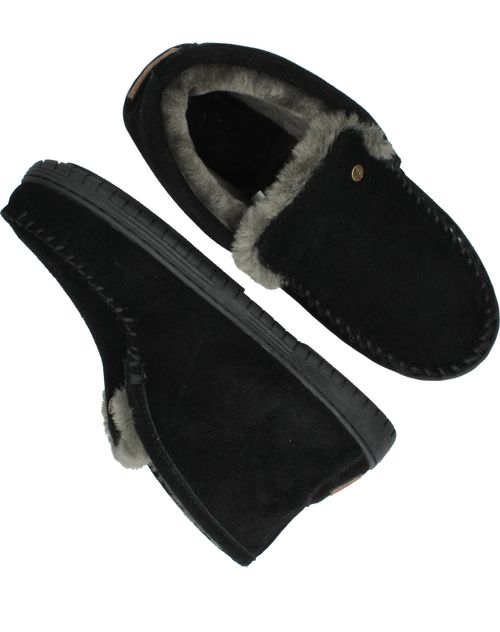 Durlinger Warmbat Darwino