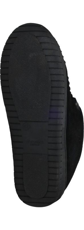 Durlinger Warmbat Darwino