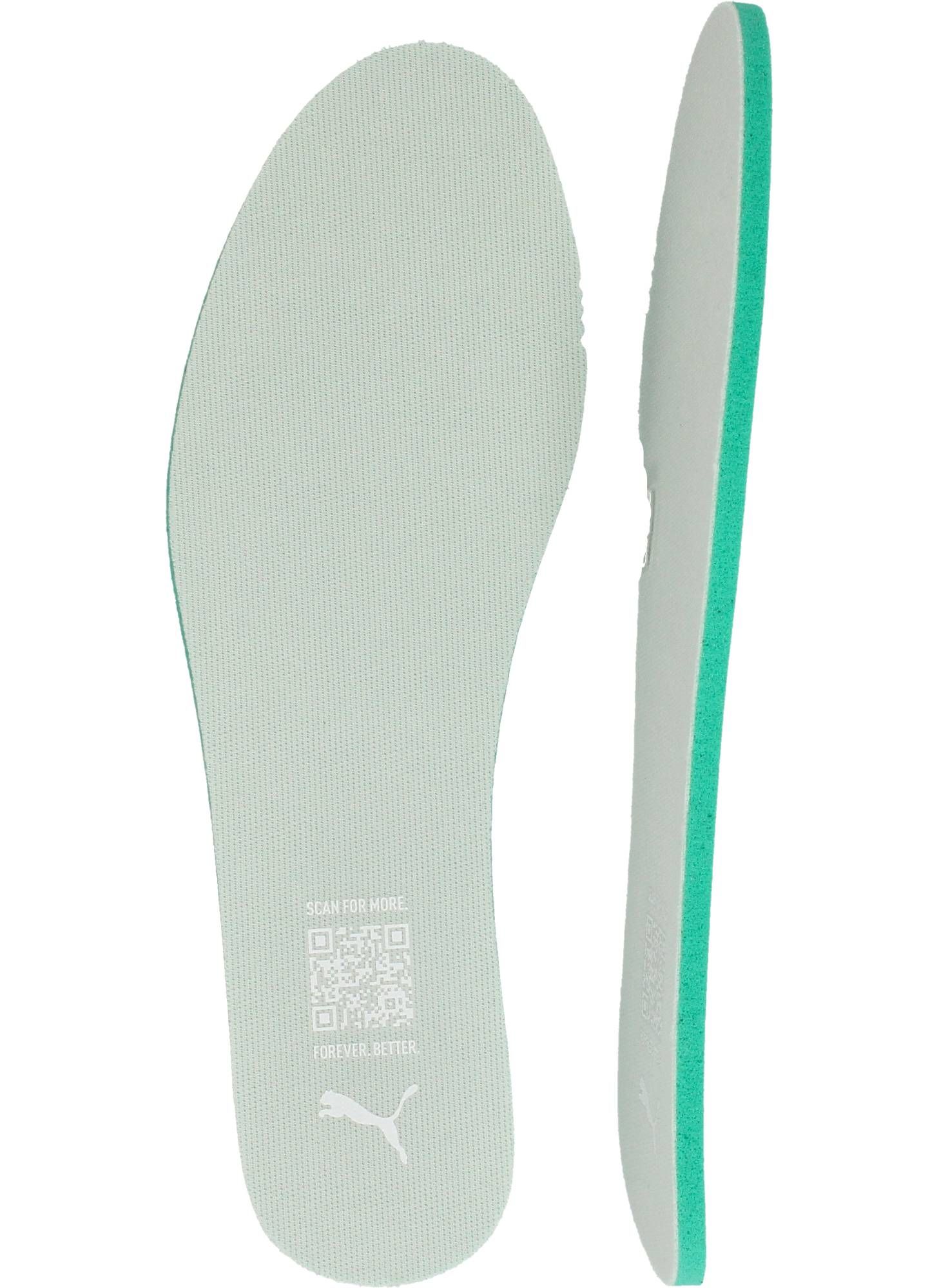Durlinger Puma Caven III OG