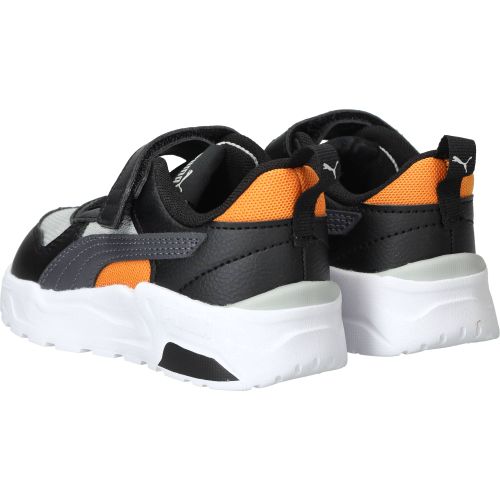 Durlinger Puma Trinity 2 LT