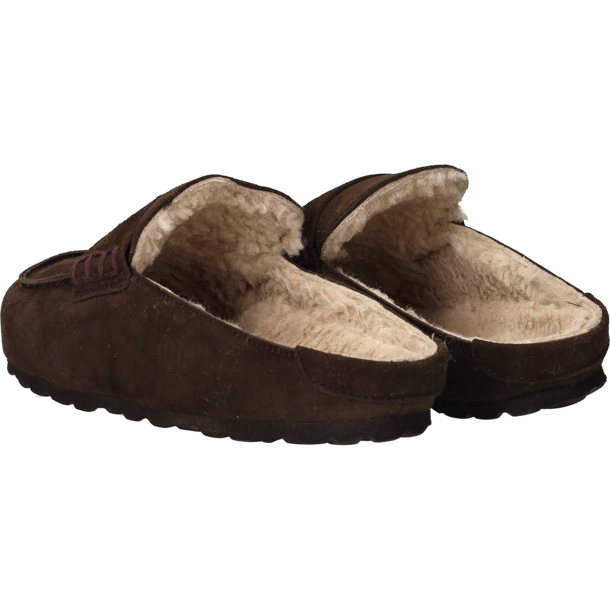 Durlinger Verbenas Movy Coccon