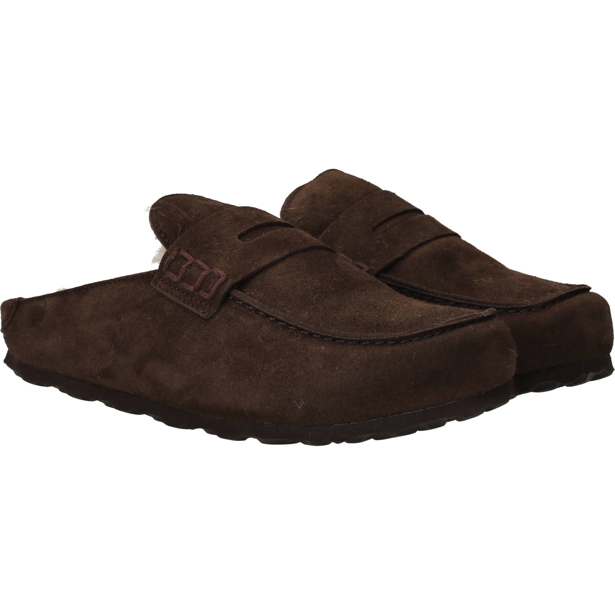 Durlinger Verbenas Movy Coccon