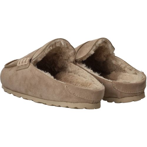 Durlinger Verbenas Movy Coccon
