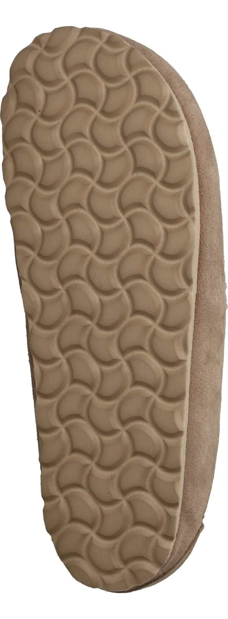 Durlinger Verbenas Movy Coccon