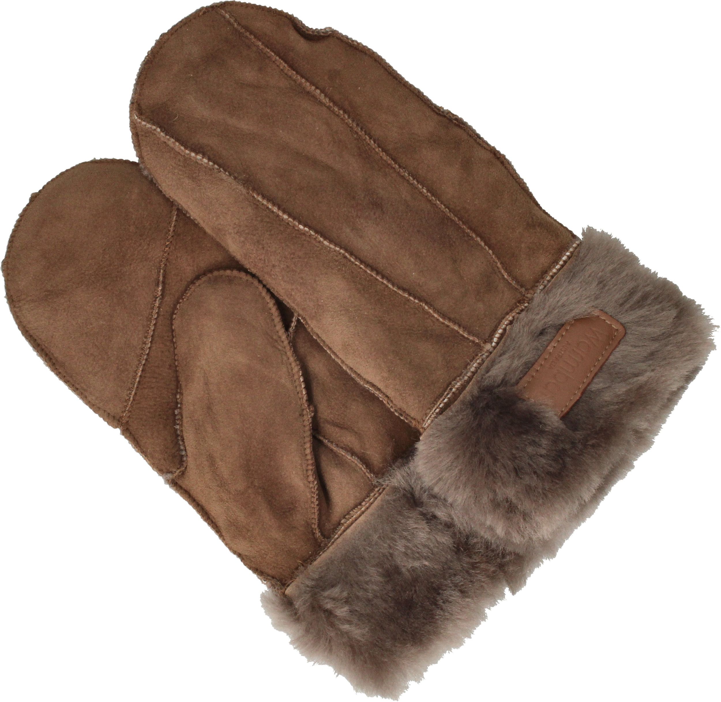 Durlinger Warmbat Lammy