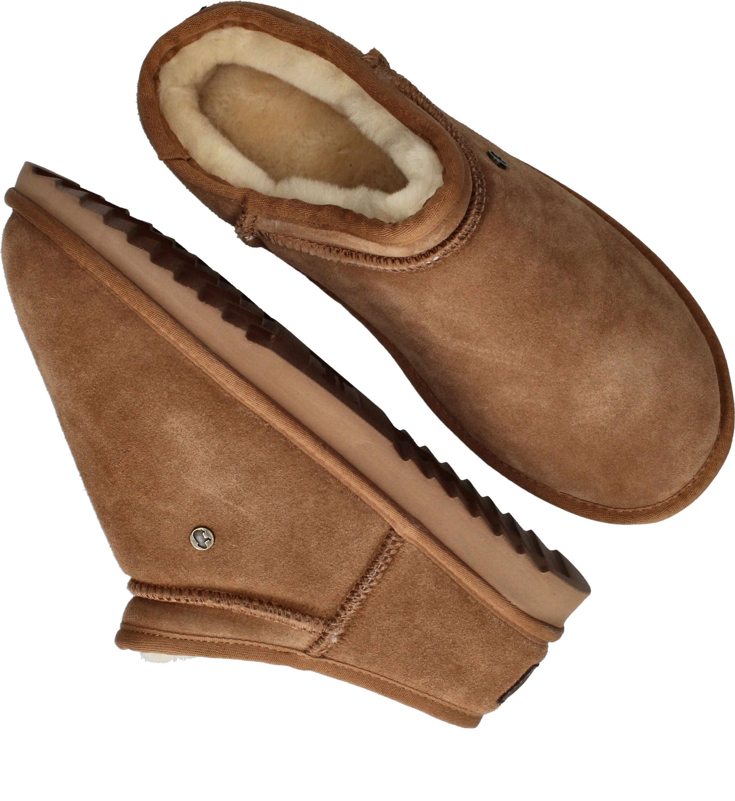 Durlinger Warmbat Conner