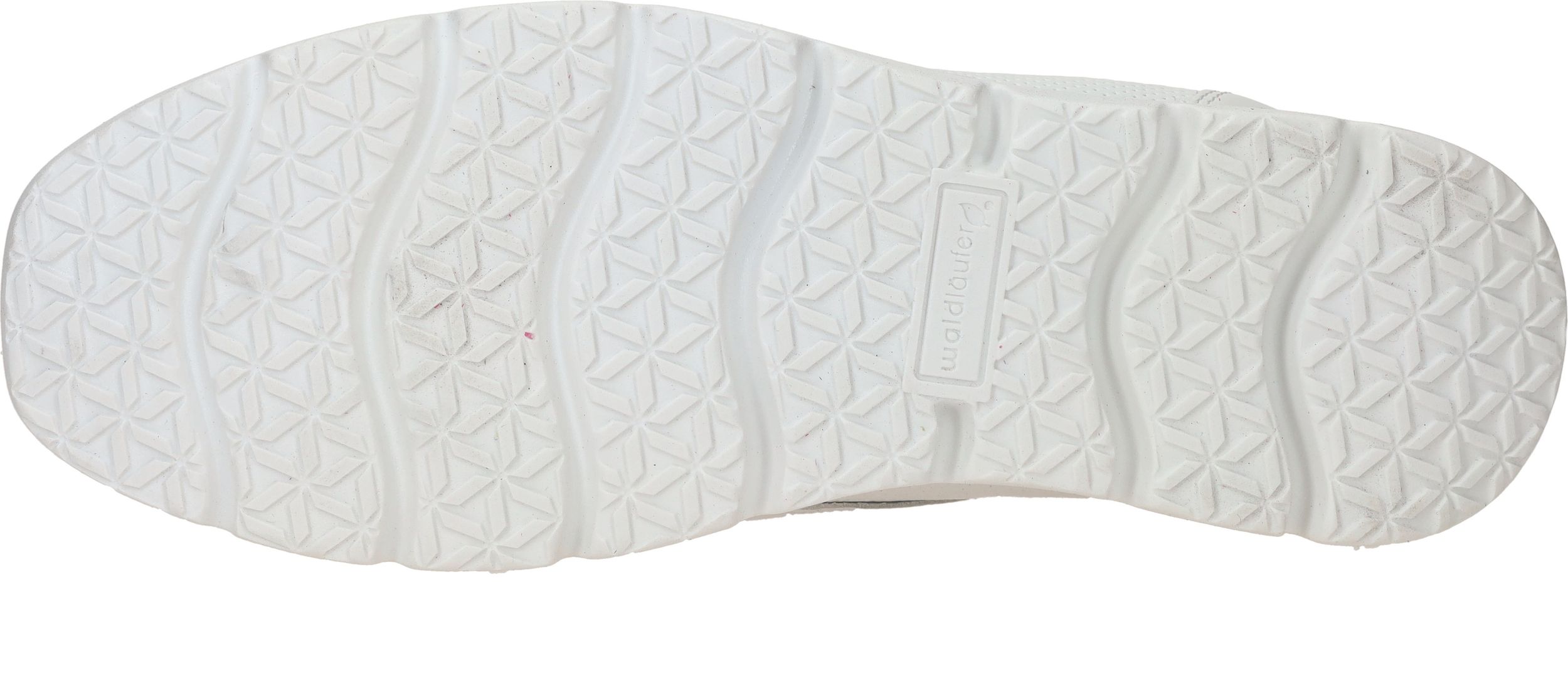 Durlinger Waldlaufer Bruni