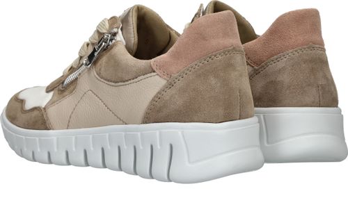 Durlinger Waldlaufer Birdy