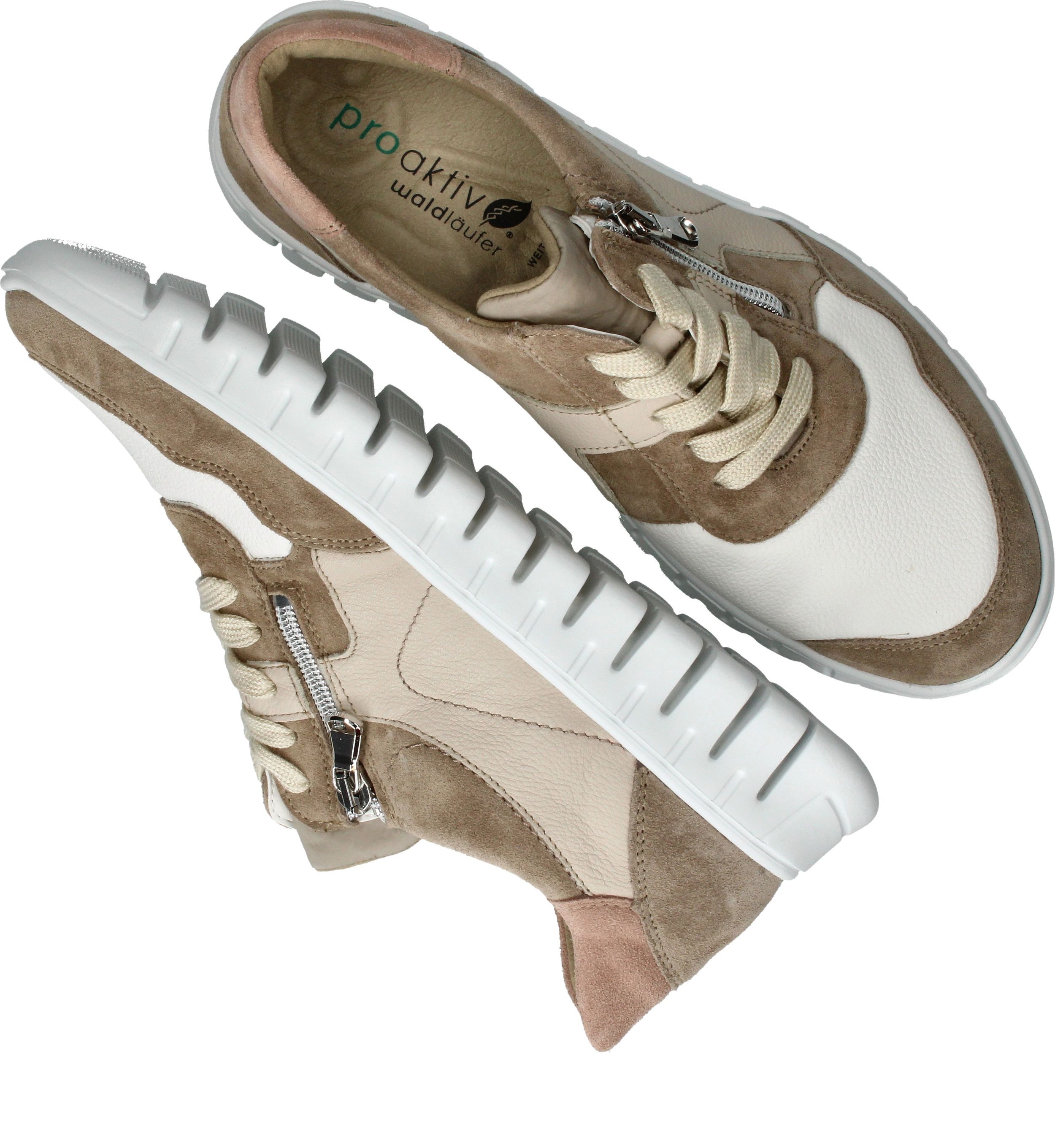 Durlinger Waldlaufer Birdy