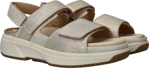 Durlinger Xsensible Aruba Stretchwalker