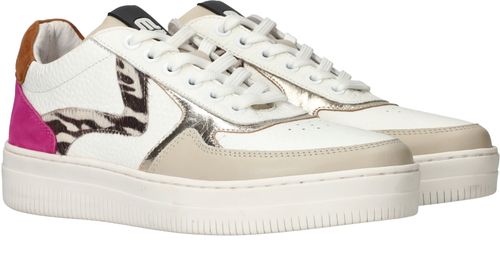 Durlinger Maruti Momo