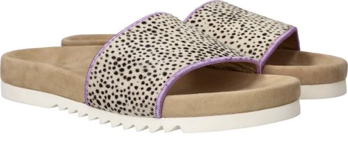 Durlinger Maruti Bing