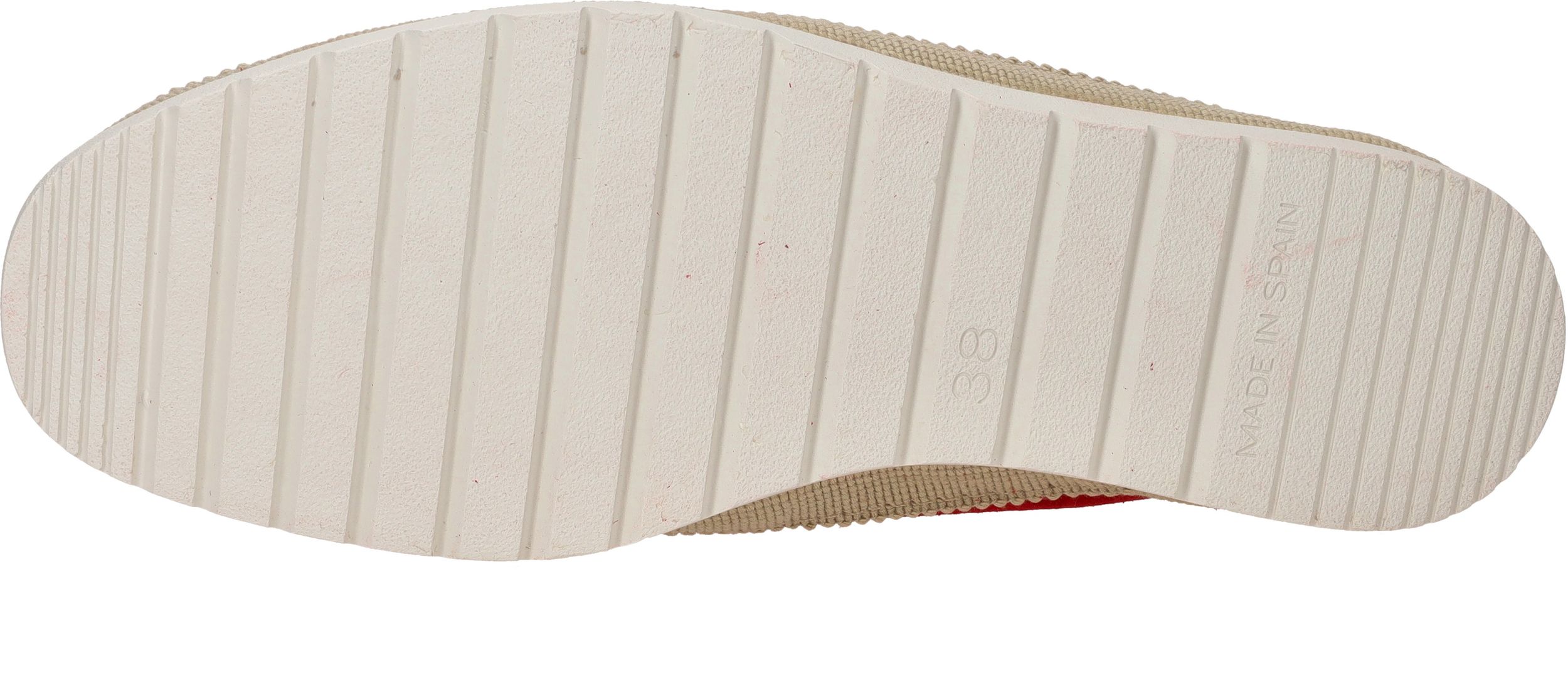 Durlinger Verbenas Noa