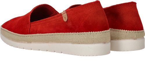 Durlinger Verbenas Noa