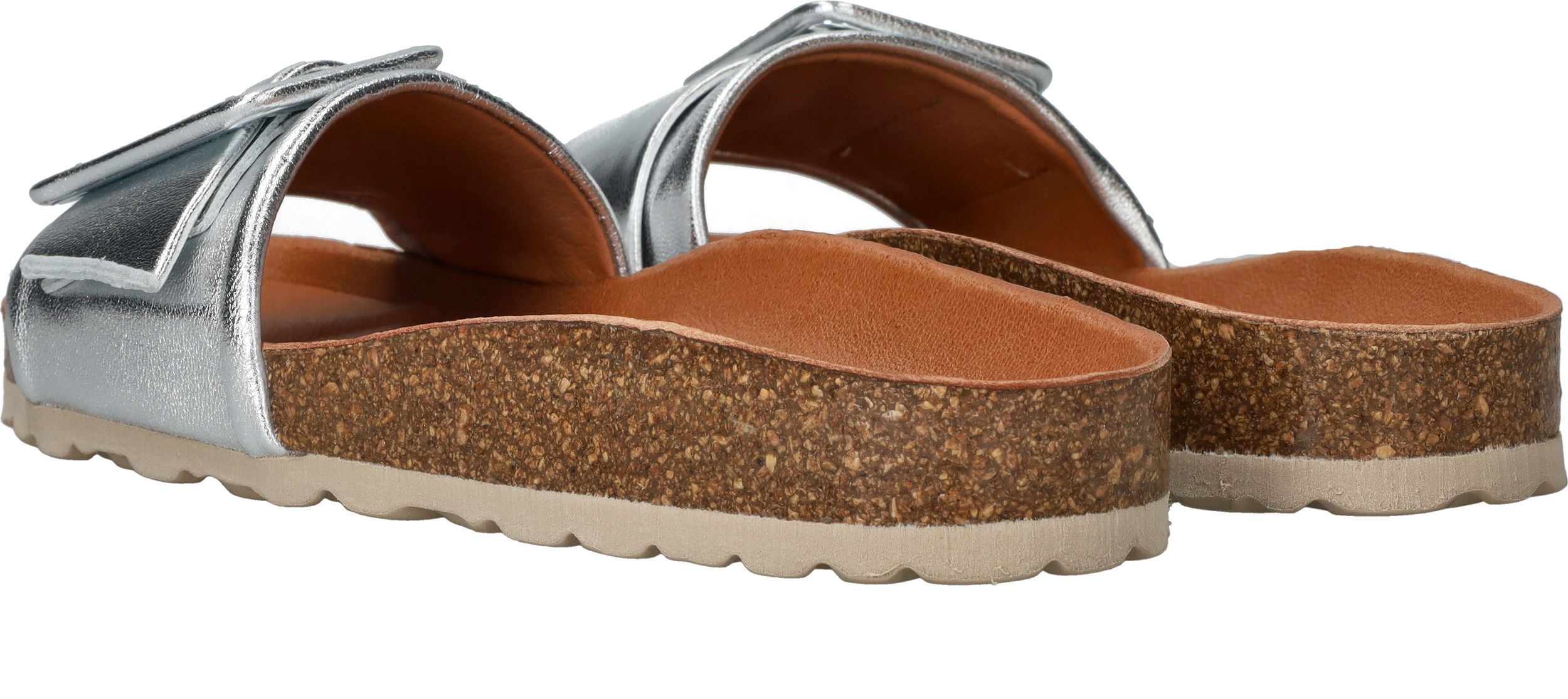 Durlinger Verbenas Reiko