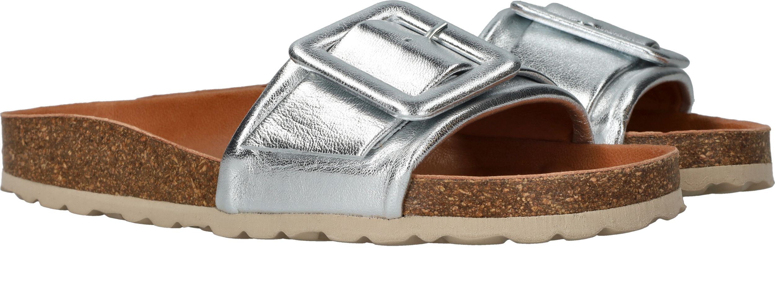 Durlinger Verbenas Reiko