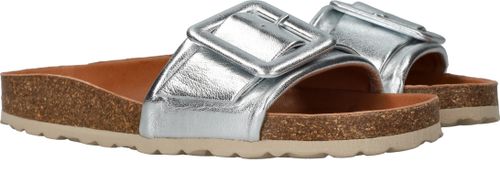 Durlinger Verbenas Reiko