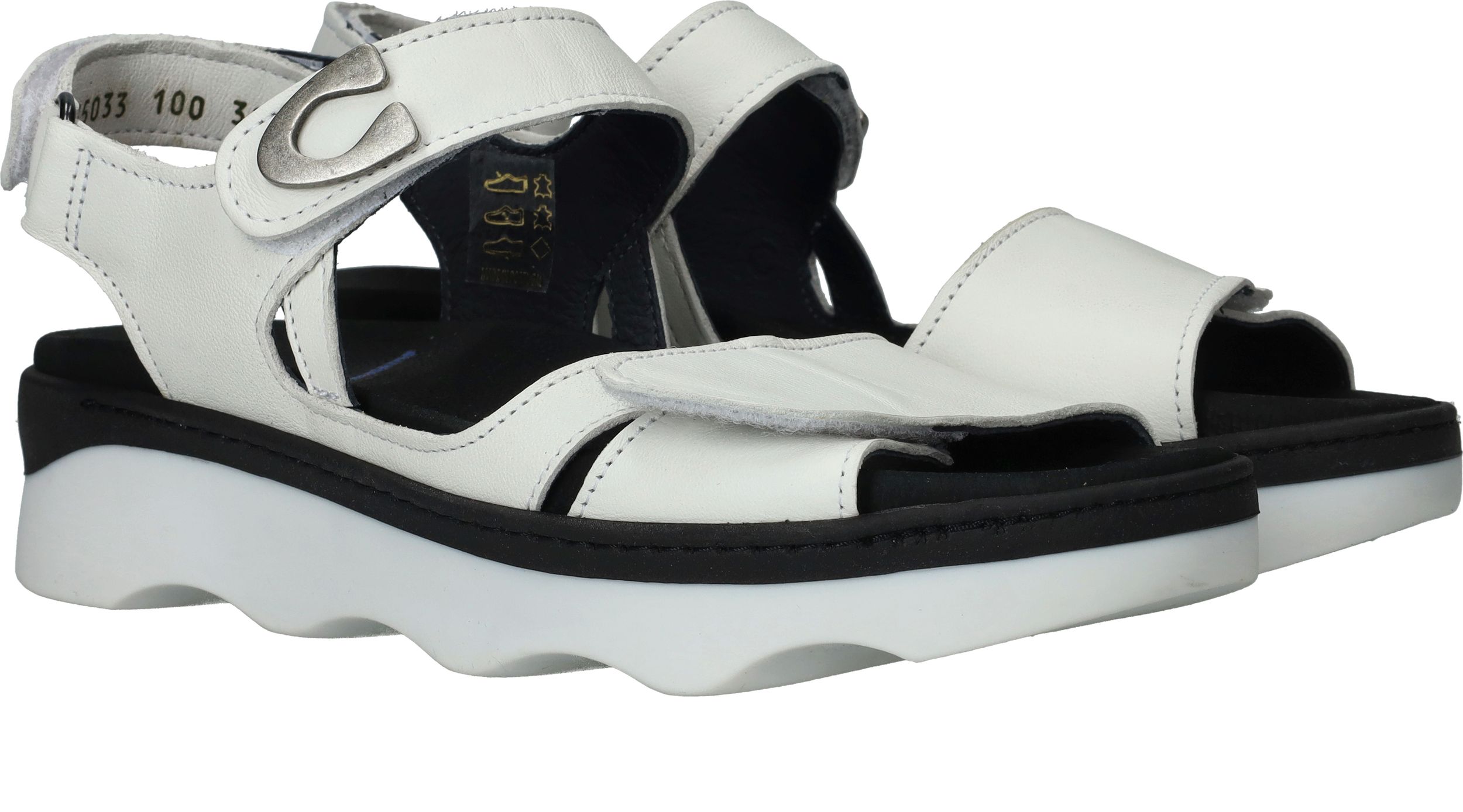 Durlinger Wolky Medusa