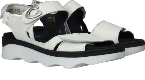 Durlinger Wolky Medusa