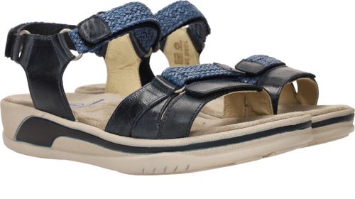 Durlinger Wolky Acula