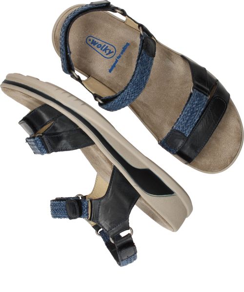 Durlinger Wolky Acula