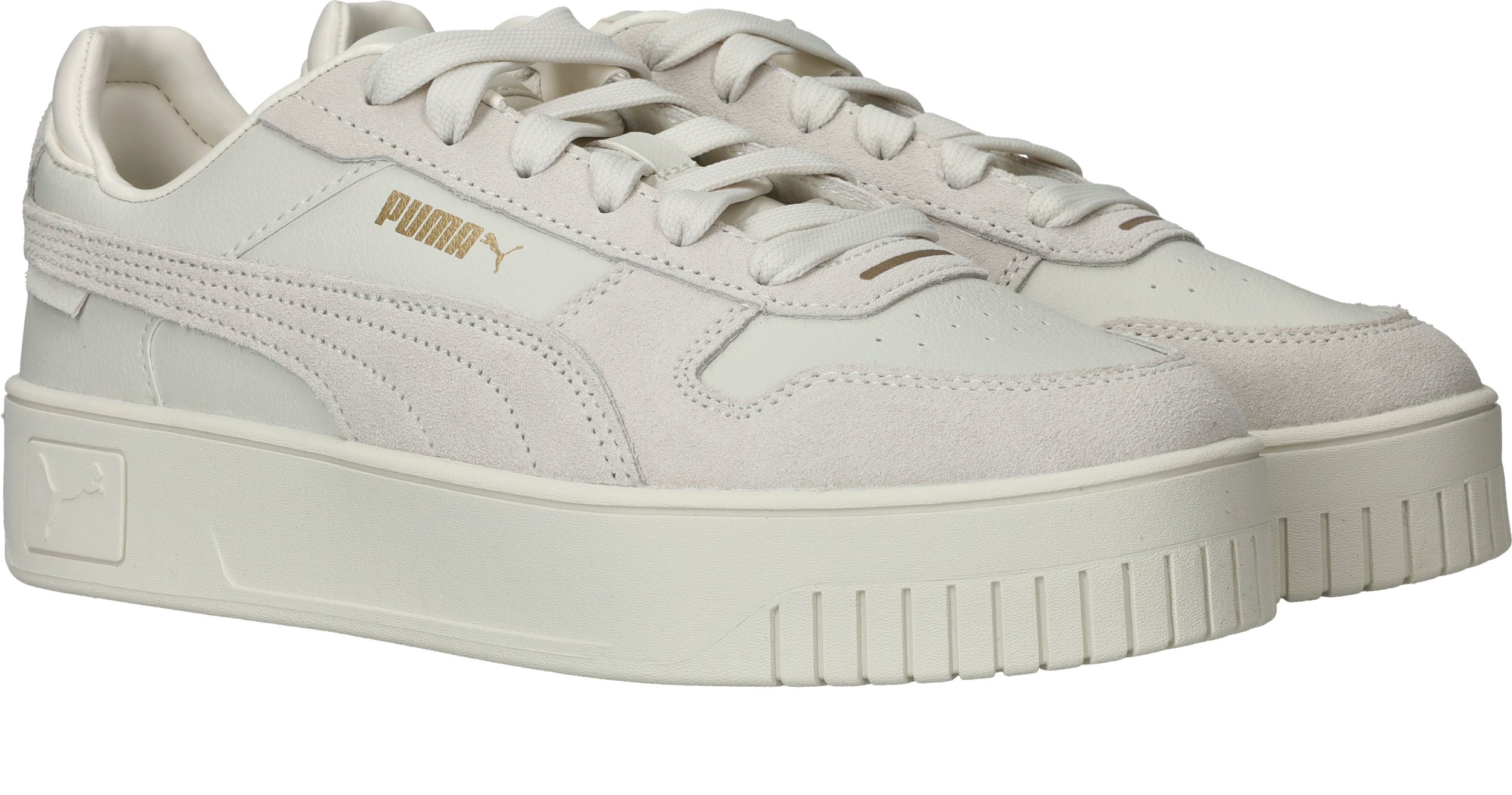 Durlinger Puma Carina Street SD