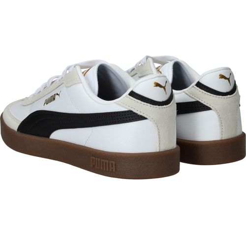 Durlinger Puma Club II Era Jr