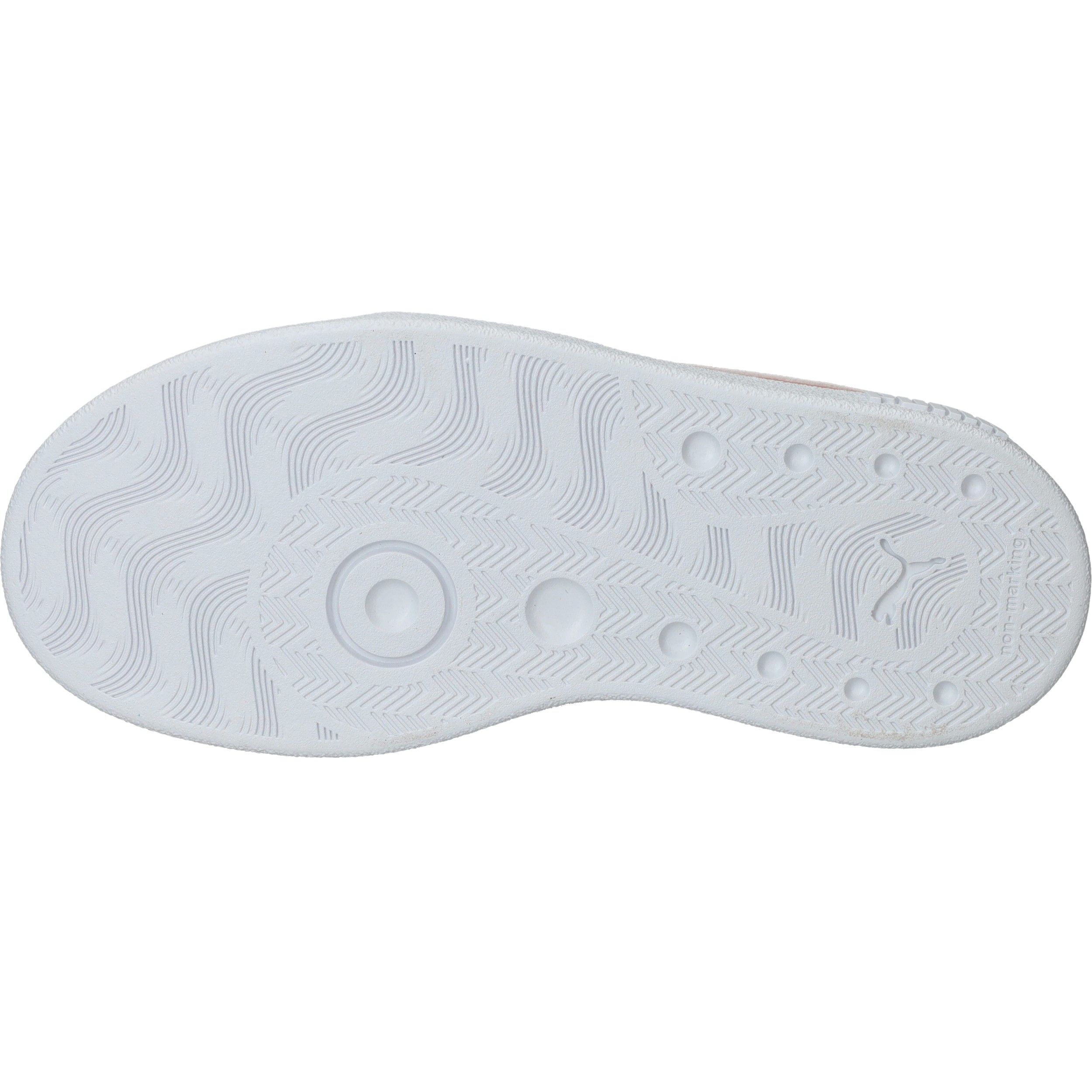 Durlinger Puma Club II