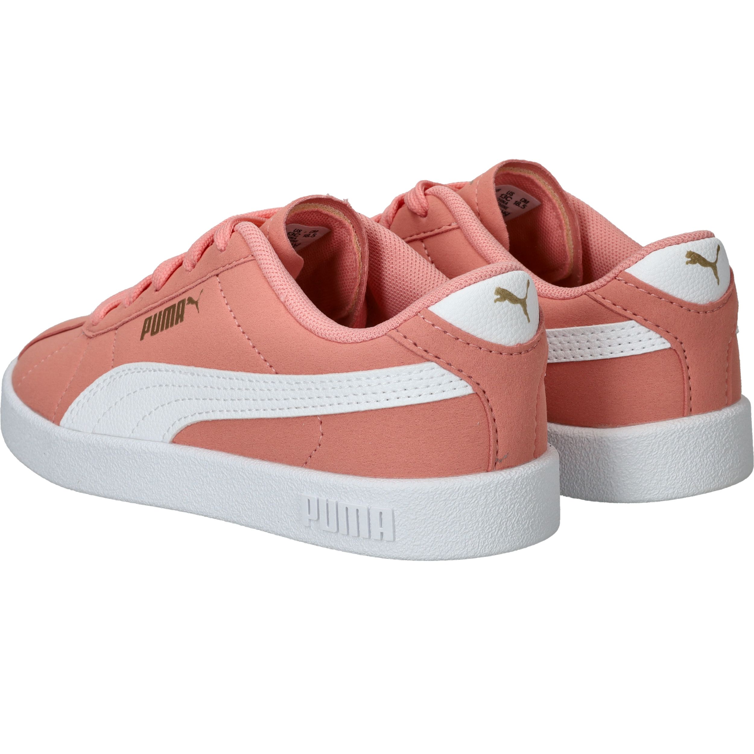 Durlinger Puma Club II