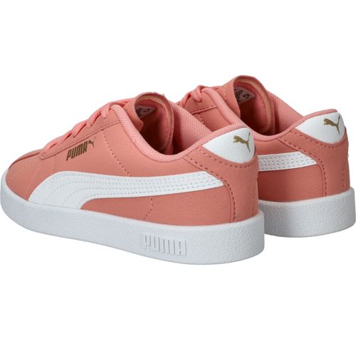 Durlinger Puma Club II