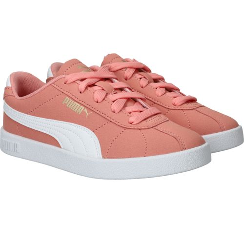 Durlinger Puma Club II