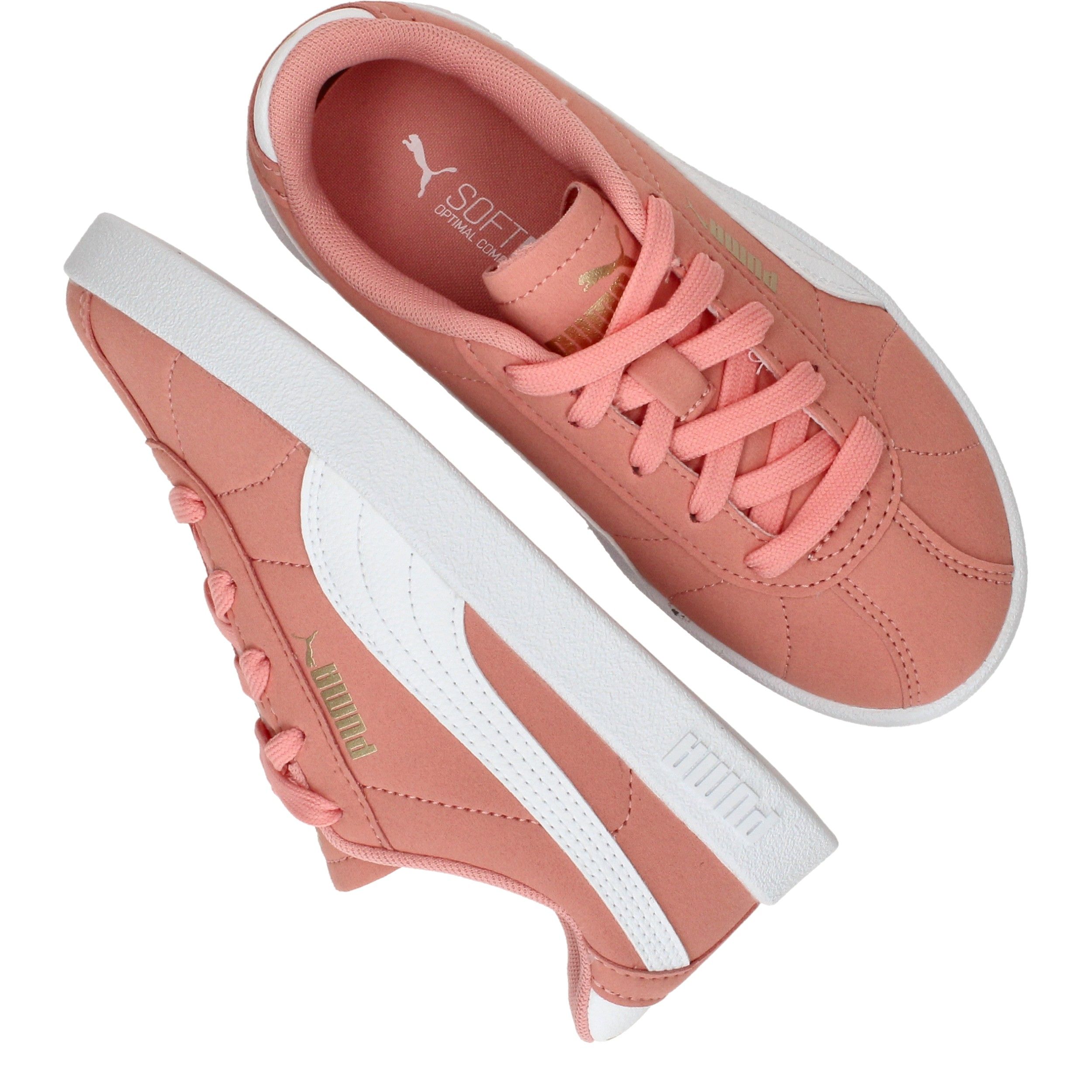 Durlinger Puma Club II