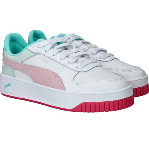 Durlinger Puma Carina Street JR